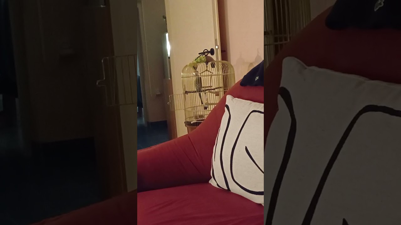 Naš čarobni Roky ❤️