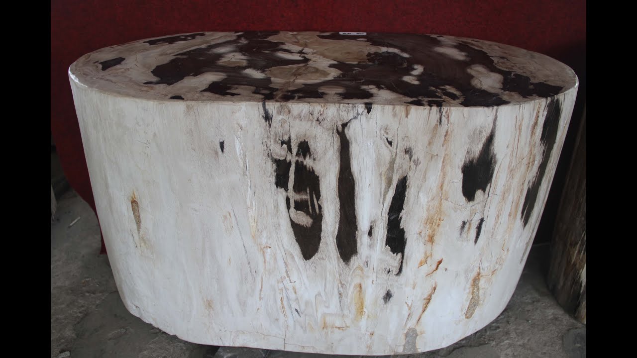 FOSSIL WOOD TABLE