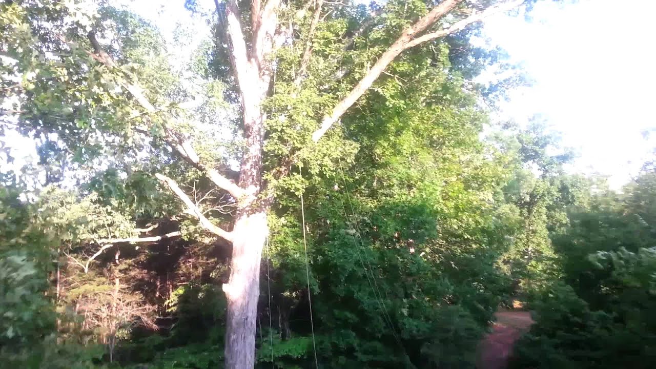 Backyardzipline