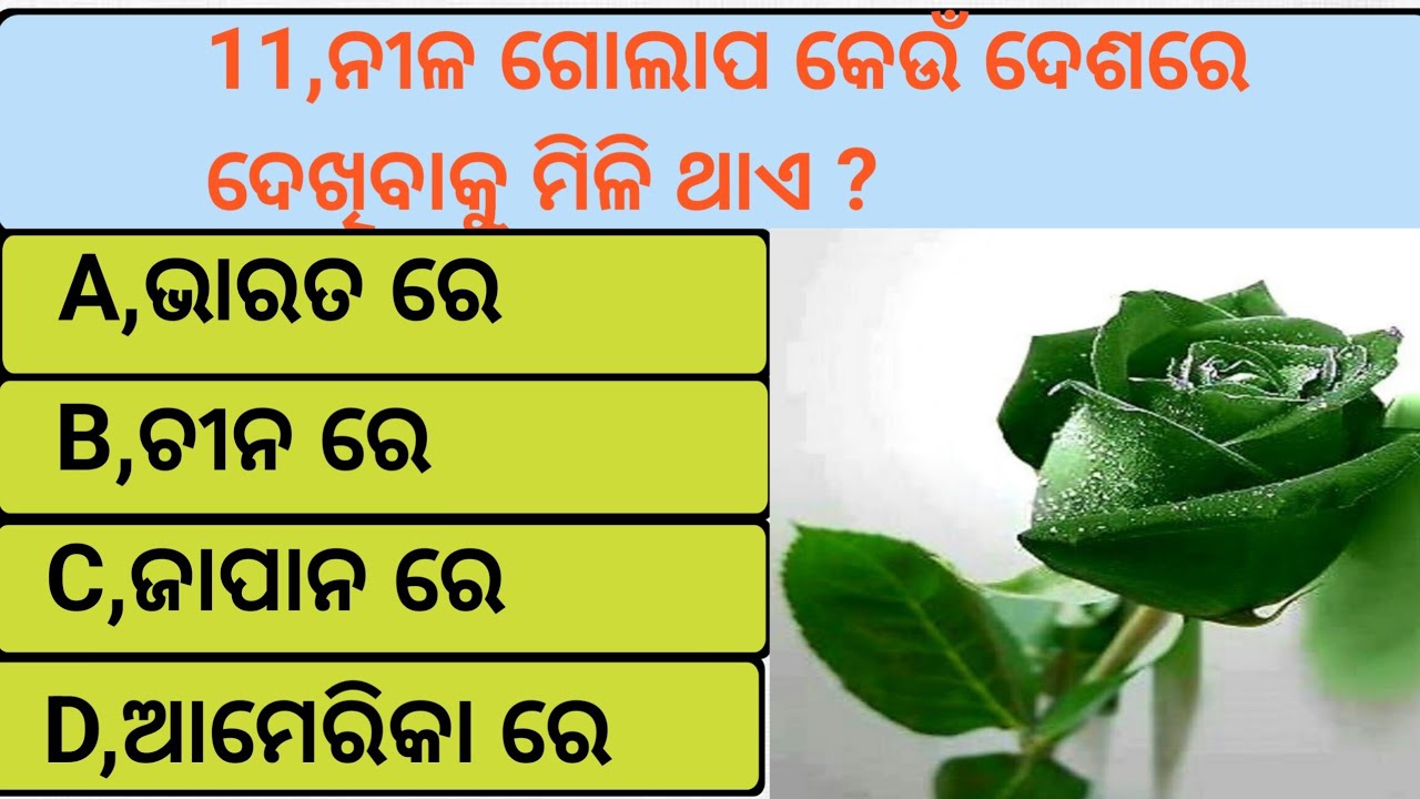 Gk question and answer//Gk in Odia //Gk quiz //odia question,