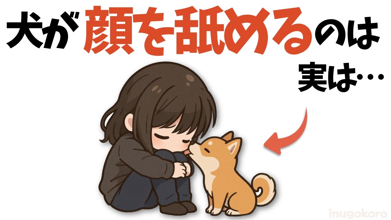 【衝撃】犬があなたを救う7つの行動｜心だけでなくストレスまで共有していた