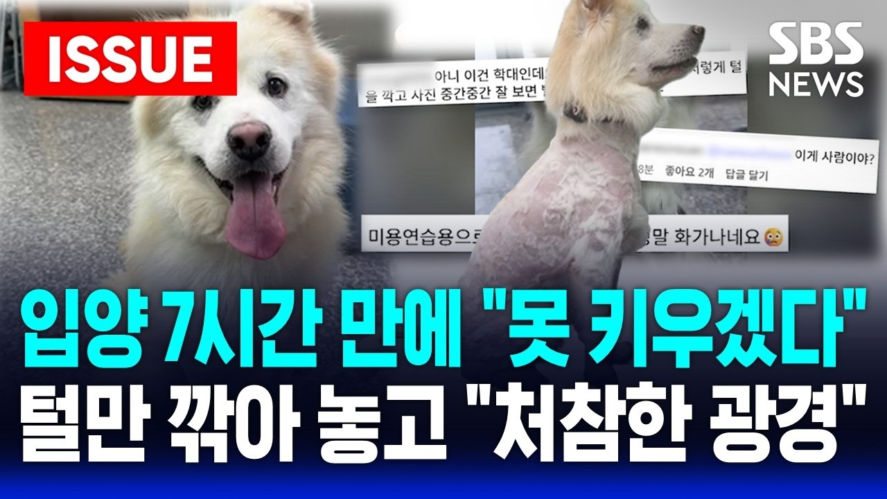 [🔴이슈] 털만 다 깎아놓고 