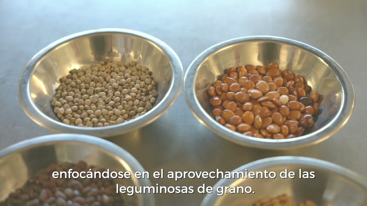 Salchichas a base de proteína de frijol