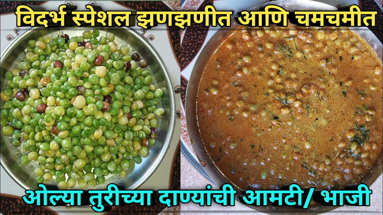 विदर्भ स्पेशल ओल्या तुरीच्या दाण्यांची भाजी/ आमटी | Turichya Danyanchi Bhaji | Aagali Vegali Recipe