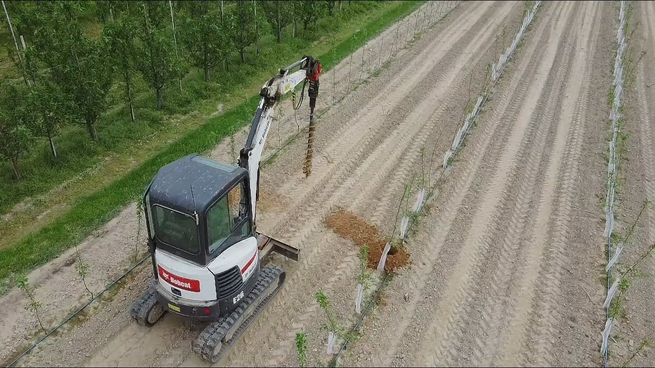Zakładamy rusztowania w nowych sadach