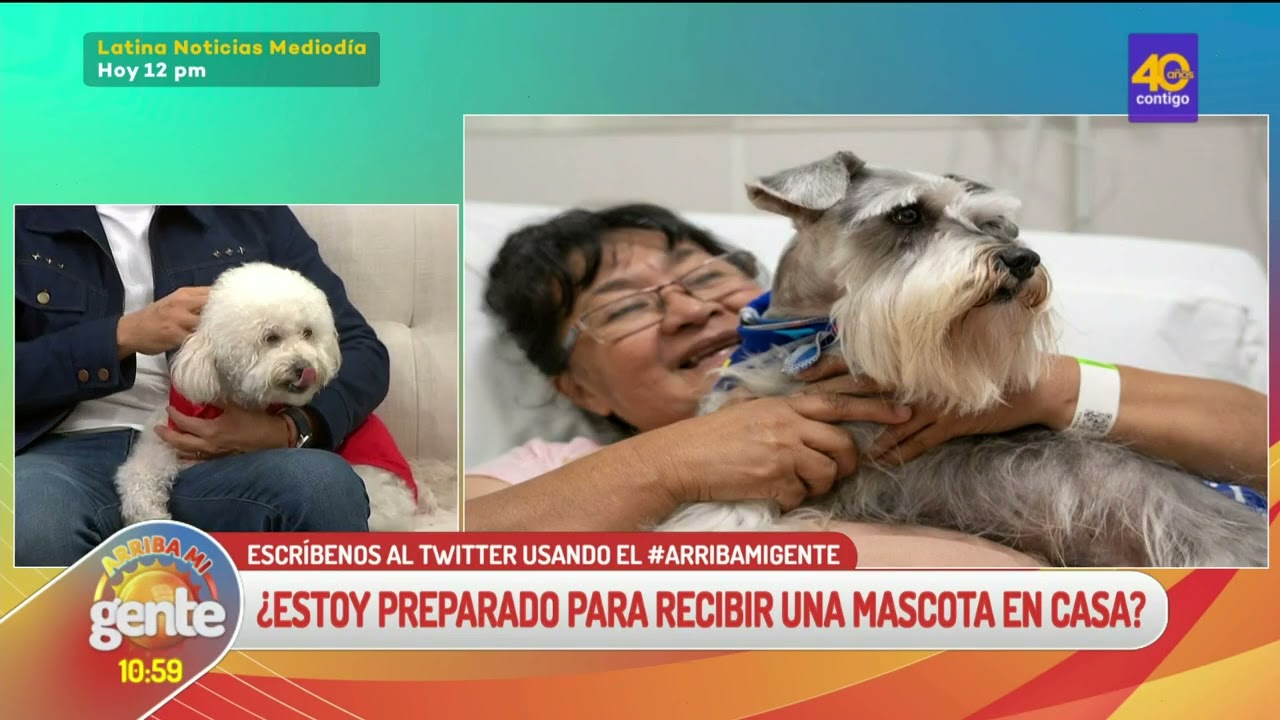 Arriba Mi Gente | ¿Estoy preparado para recibir una mascota en casa?