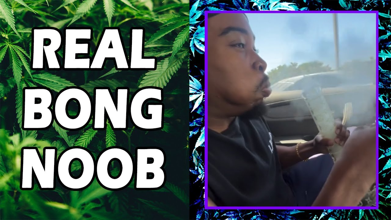WEED MEMES & Fail Compilation [#231] - Fatally Stoned