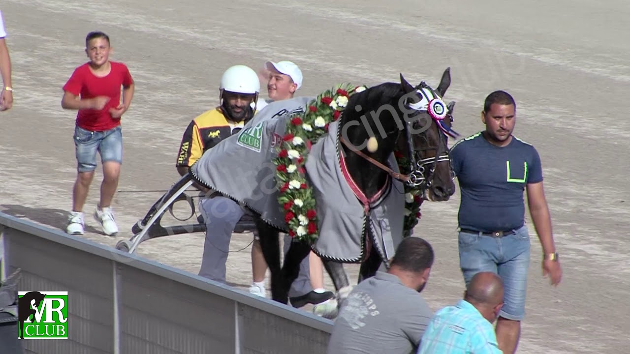 16/06/2019 - Class Premier - Prix de Vincennes