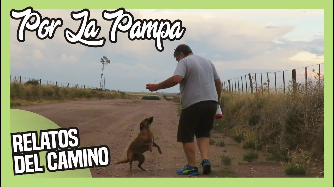 🐢Recorriendo 🚐 LA PAMPA por la ruta 35 🌊