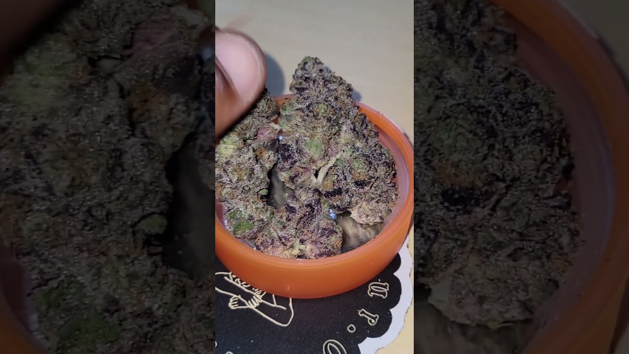 *Limted release* Red Acai ( Acai Berry gelato x unknown strain) cultivated by Sherbinskis
