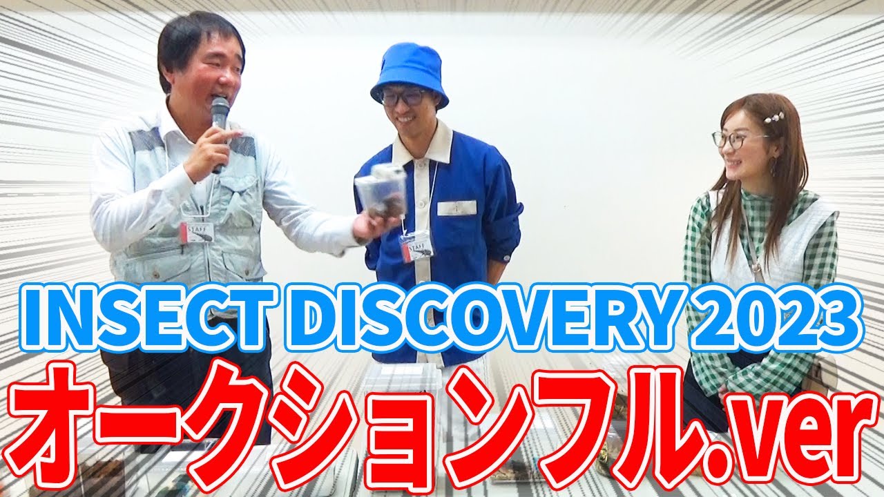 クワカブYouTuber3人でオークションをしたら、大盛り上がりしました。