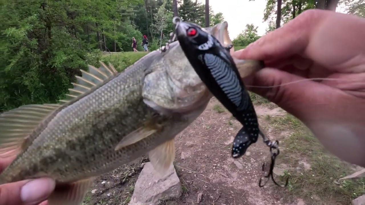 Fishing Whopper Plopper 90 For Huge Largemouth Bass