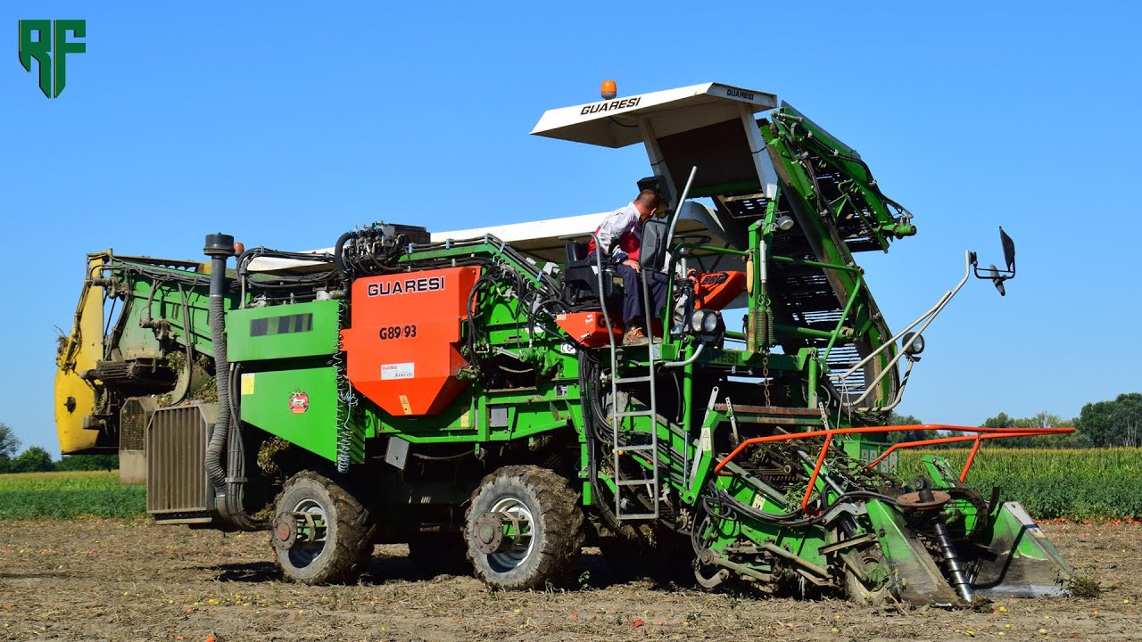 |Guaresi G89/93, Claas Atos 350 & Claas Arion 660| Raccolta Pomodoro 2022| Bassan Snc|