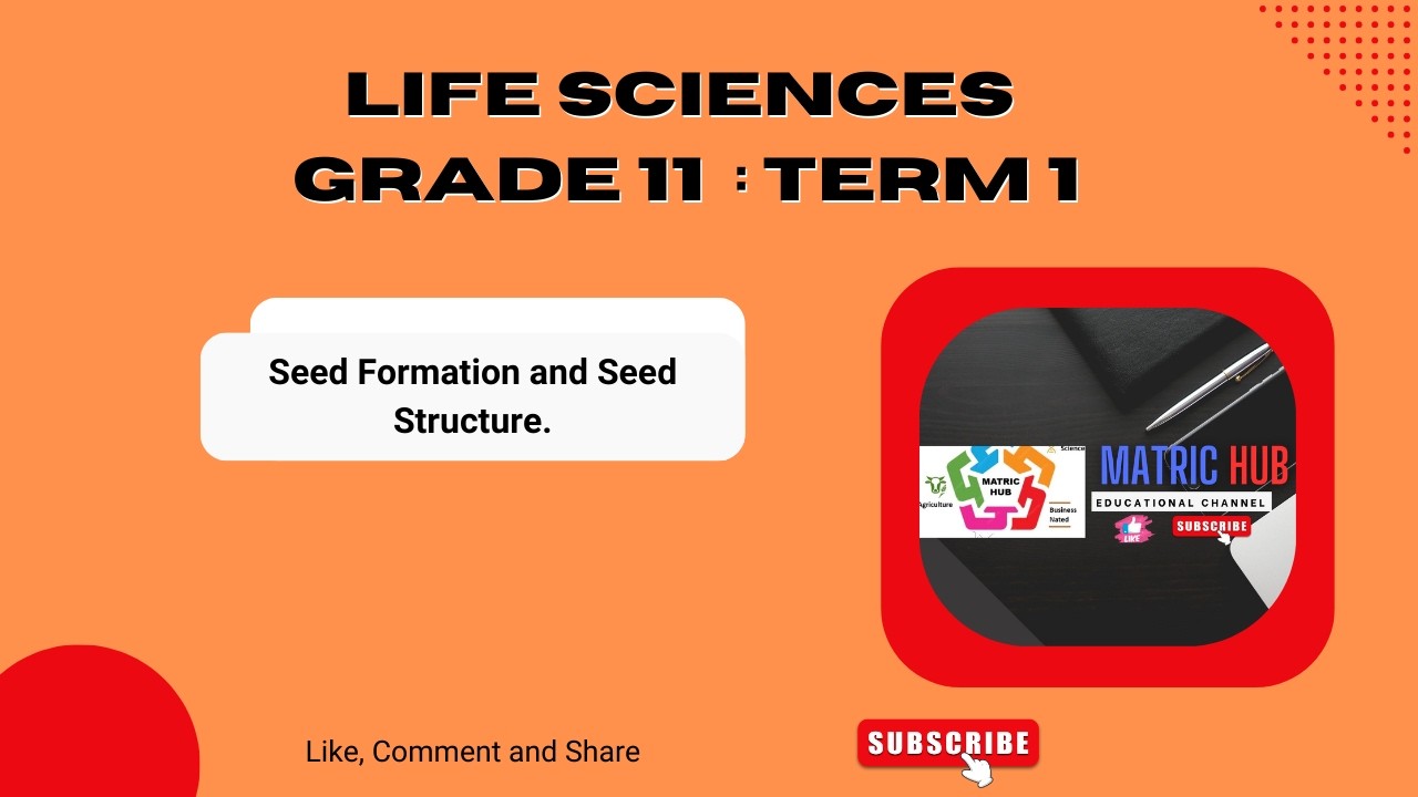Life Sciences Grade 11- Seed Formation  and Seed Structure.