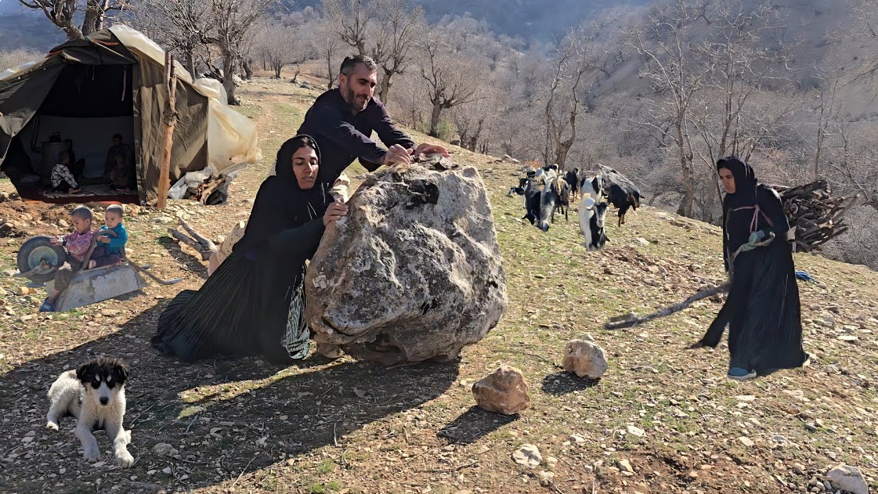 Nomadic life in Zagros 🏔️ | Moving large rocks, collecting firewood and caring for goats 🐐🔥