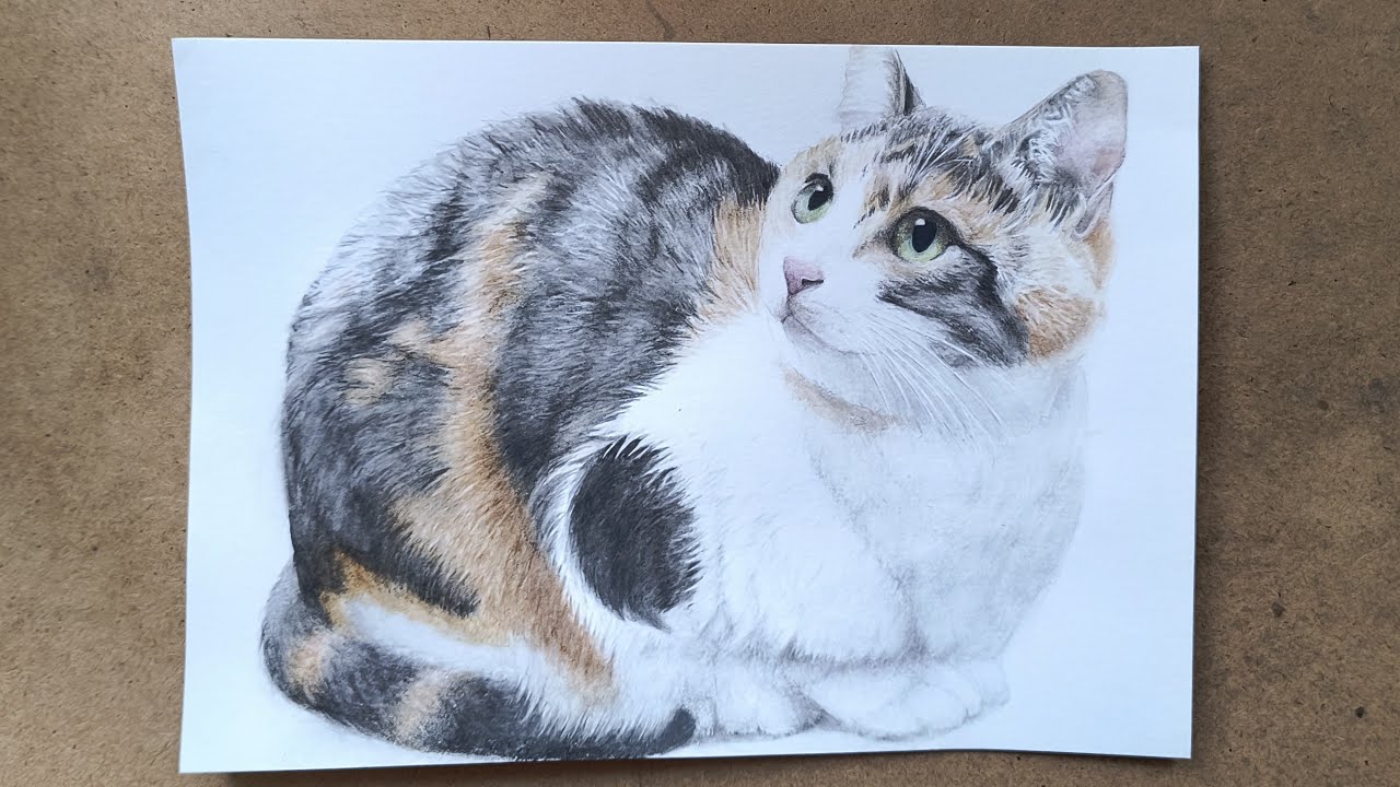 【水彩画】見上げる猫を描きました。
