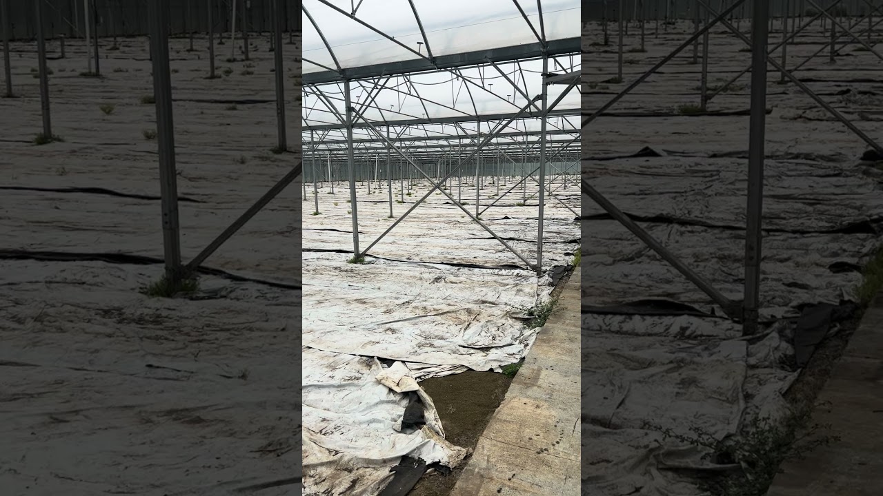 Gutter Connected Greenhouse Completed Build