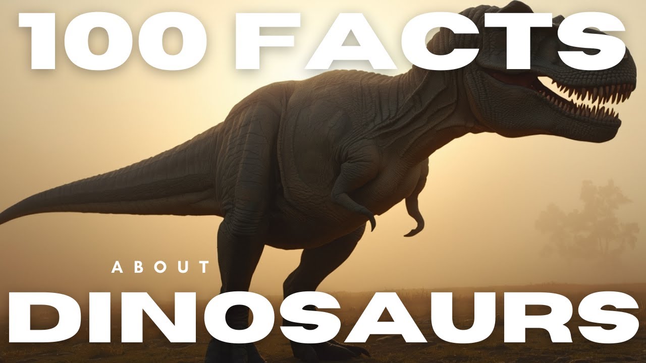 Sleepy Facts About Dinosaurs to Fall Asleep To