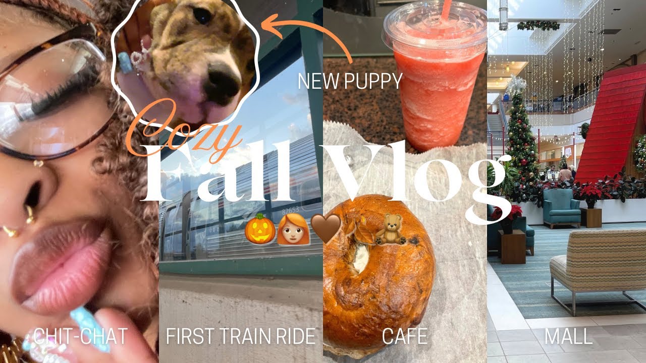 COZY FALL VLOG: 002 🍂💕| fall drinks + train ride + new puppy + mall + chit chat