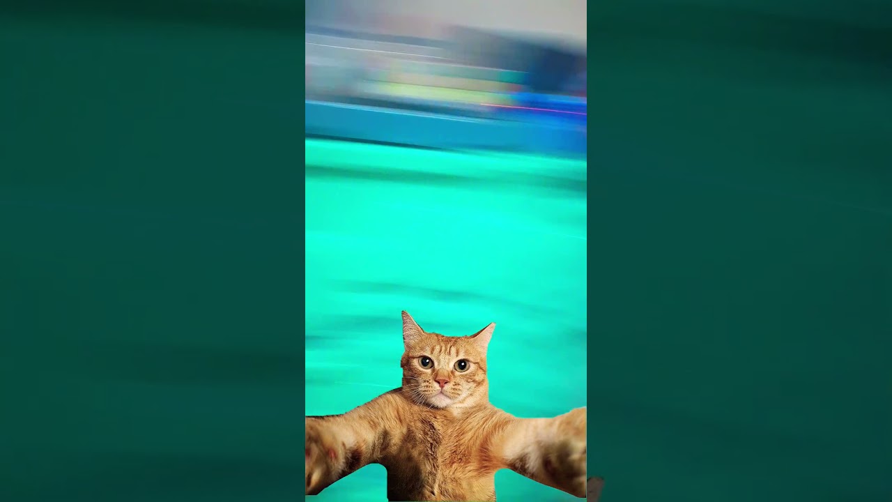 put your hand on his hands