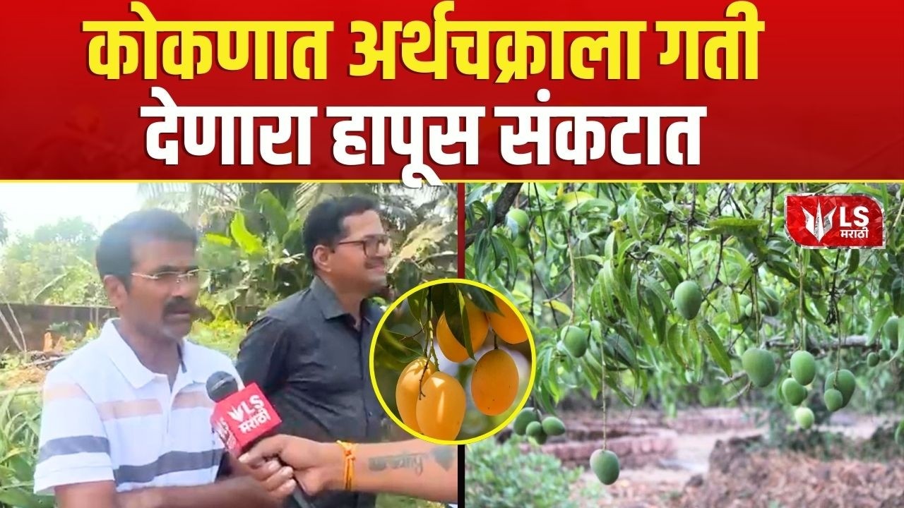 Sindhudurg | बदलत्या हवामानाचा देवगडच्या हापूसला फटका