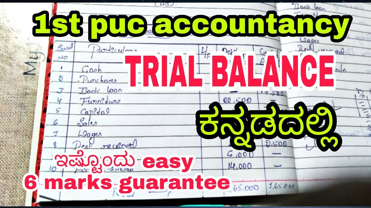 trial balance class 11 ಈ 2 trick ಗೊತ್ತಾದರೆ 6 marks  section C 