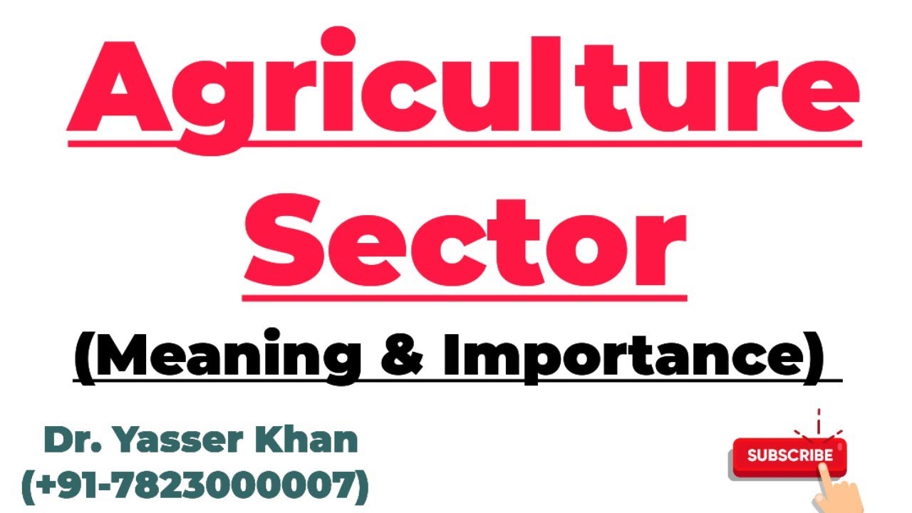 Agriculture Sector | Importance Of Agriculture Sector