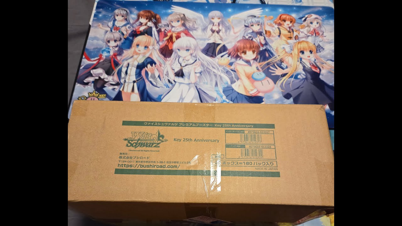 Lvl 4 WS Key 25th Anniversary Case Opening