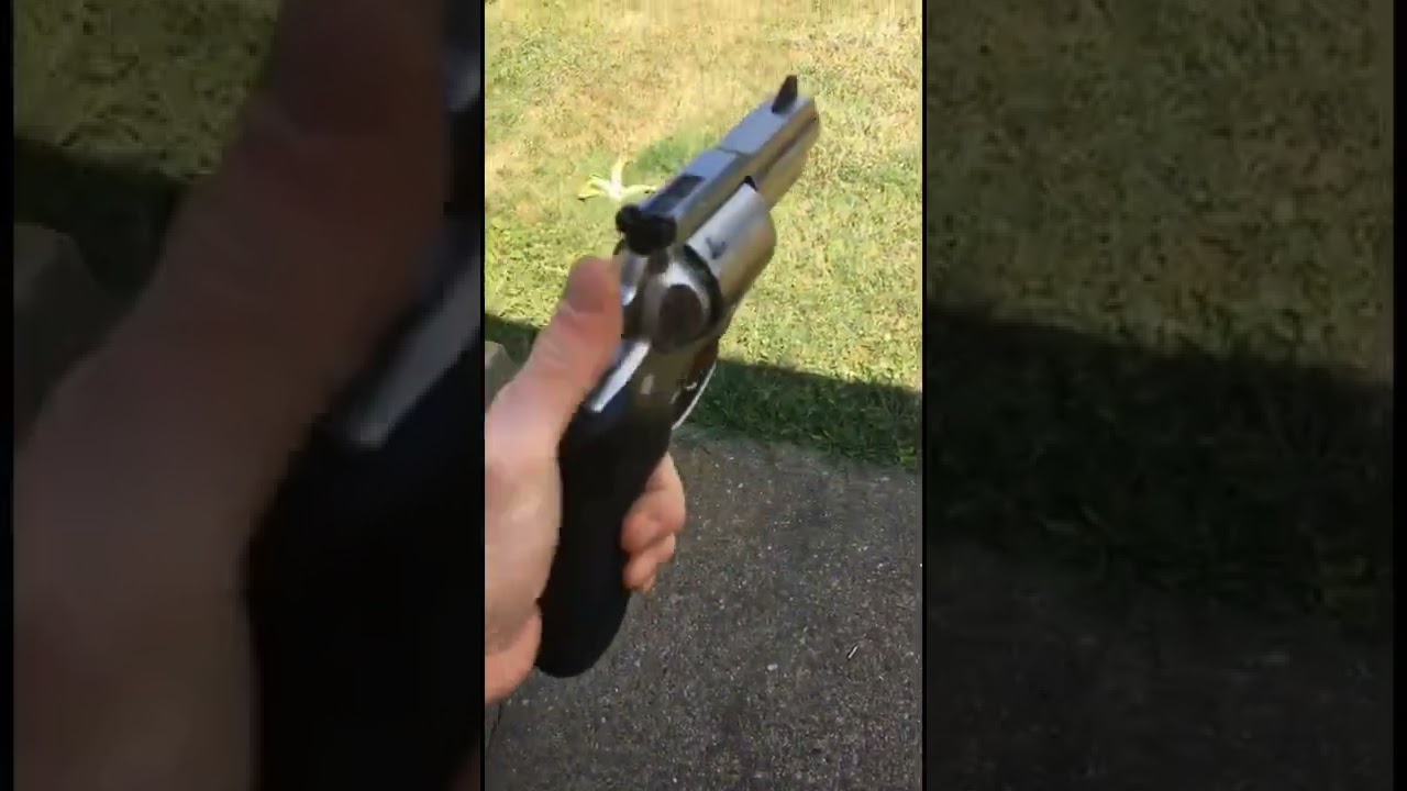 RUGER SUPER REDHAWK ALASKAN .454 Casull Grizzly bear defense