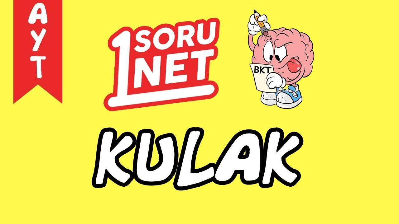 Kulak /sayfa 43/10 / AYT Biyoloji