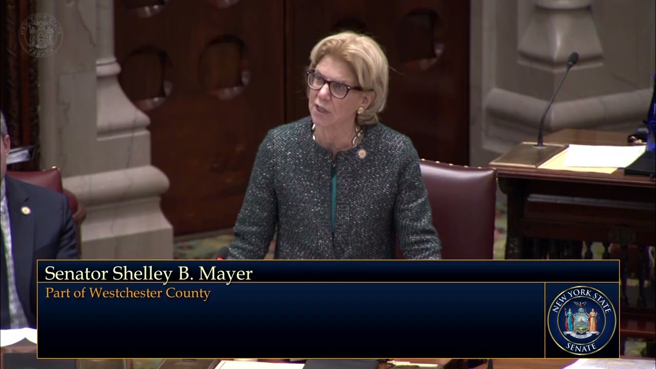 State Senator Shelley Mayer explains her 