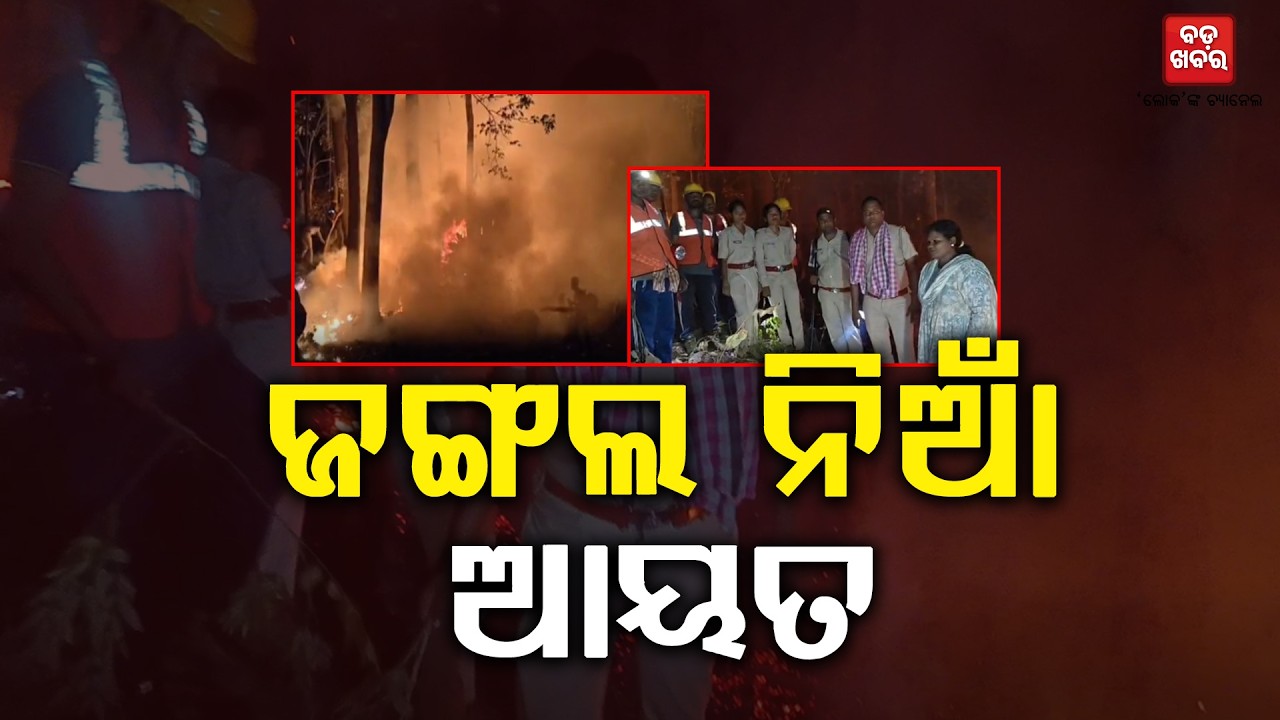 ବାଲିଗୁଡ଼ା ବନାଞ୍ଚଳର ସାକୁସବାଲି ଜଙ୍ଗଲରେ ଲାଗିଥିବା ନିଆଁକୁ ଆୟତ୍ତ କଲେ ବନବିଭାଗ ଓ ସରପଞ୍ଚ || BADA KHABAR TV
