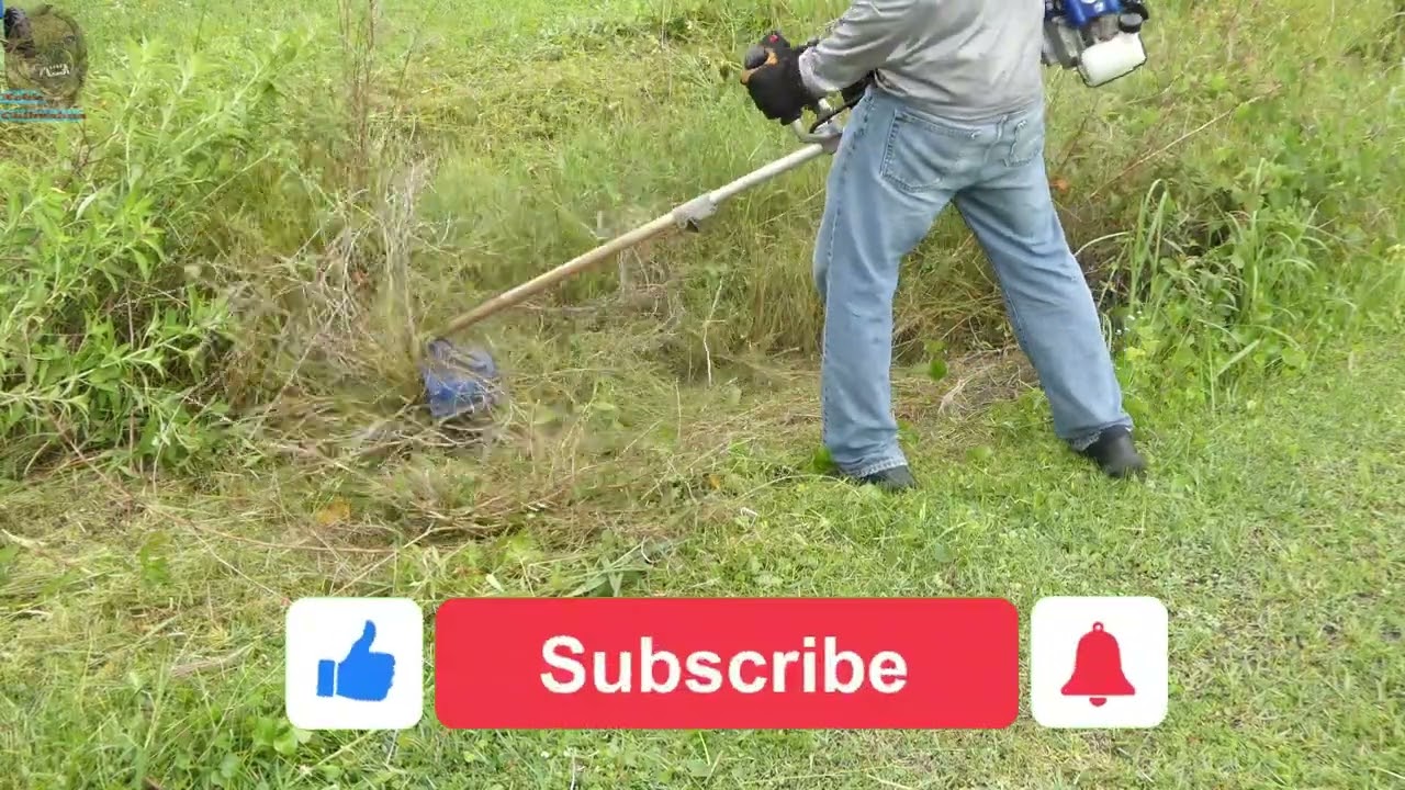 Brush Cutter Beast! | Badger 52cc + Steel Blade DESTROYS Overgrown Brush (Real Field Test & Review)