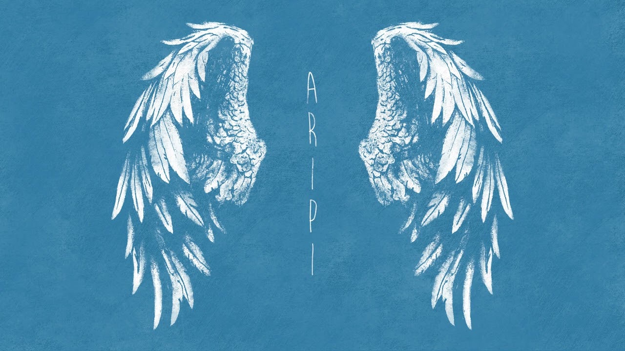 Nuanțe - Aripi (Official Audio)