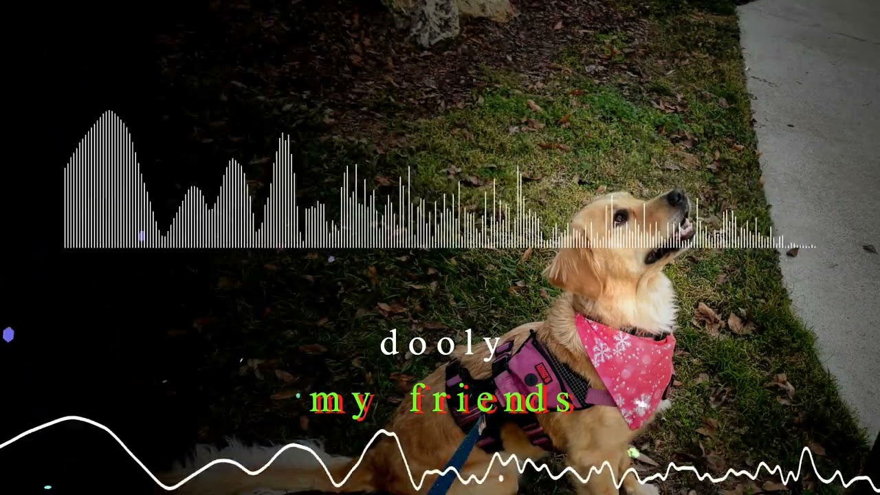 dooly - my friends #doolystep