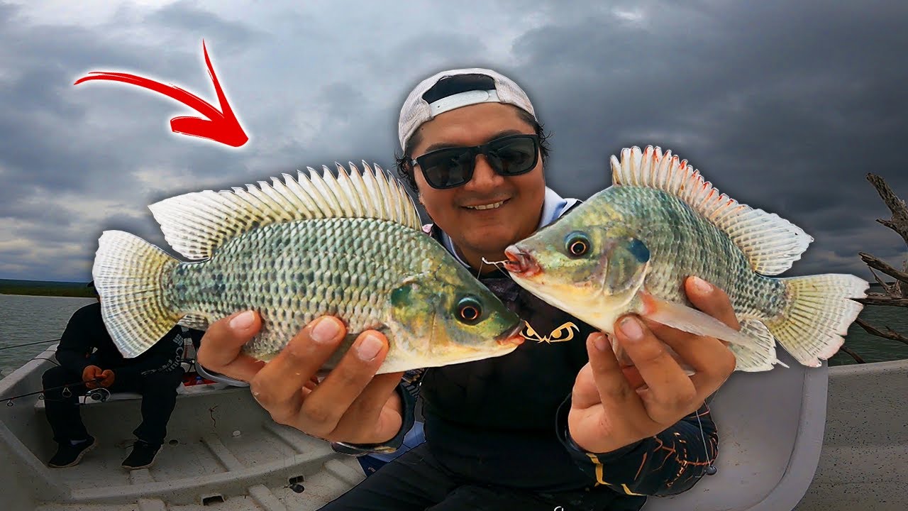 La Técnica MÁS FÁCIL para Pescar Tilapia