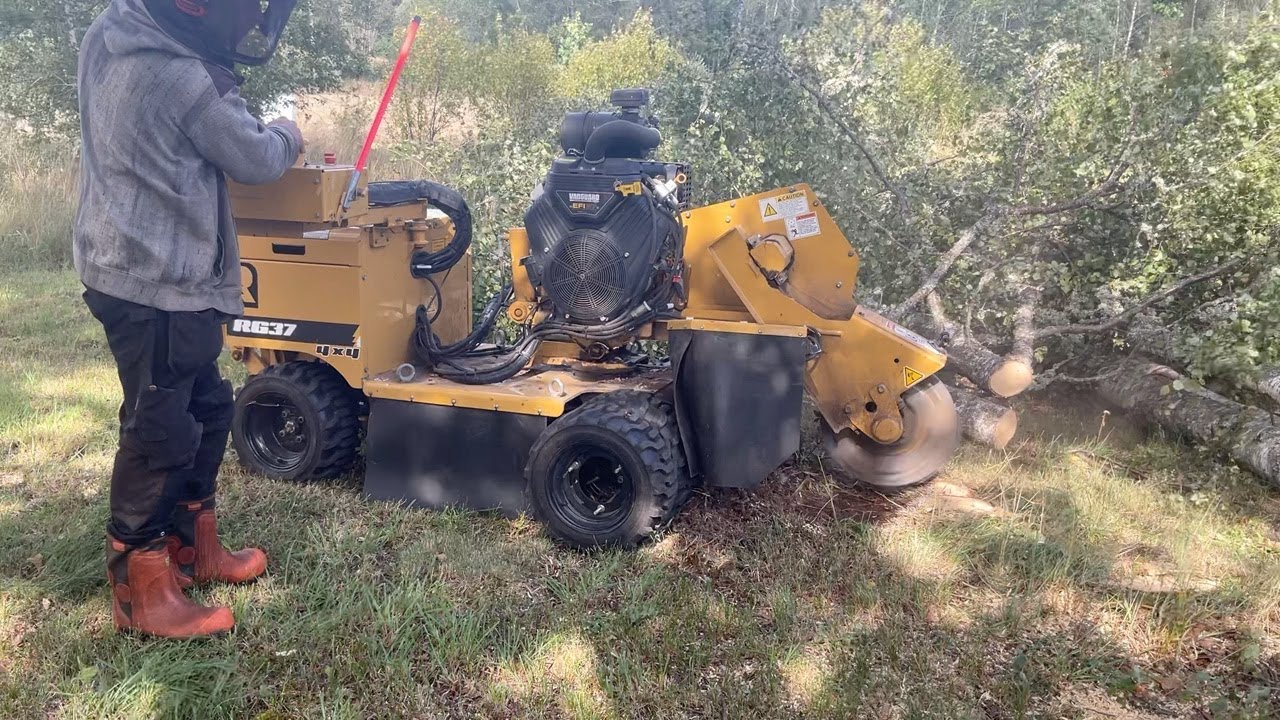 K&ouml;p Stubbfr&auml;s Rayco RG37 4x4 p&aring; Klaravik