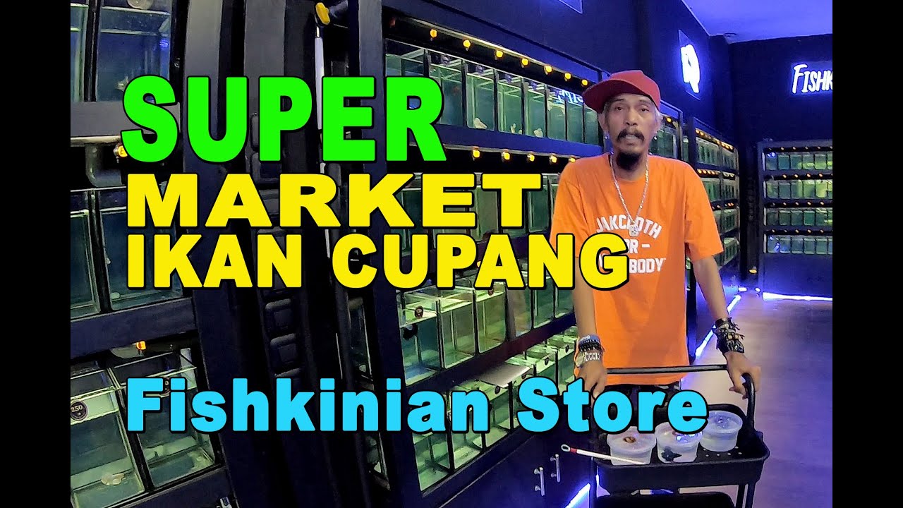 SUPER MARKET IKAN CUPANG FISHKINIAN STORE