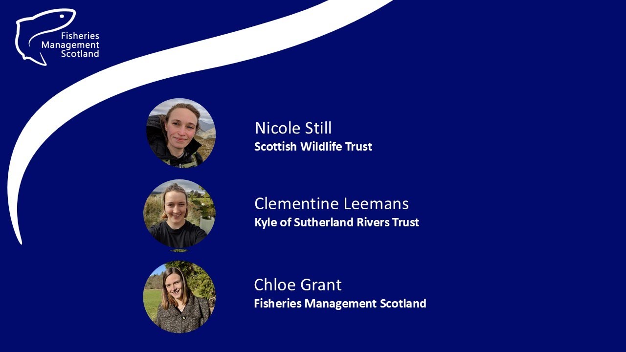 Nicole Still, Chloe Grant & Clementine Leemans: A blueprint for river woodland restoration