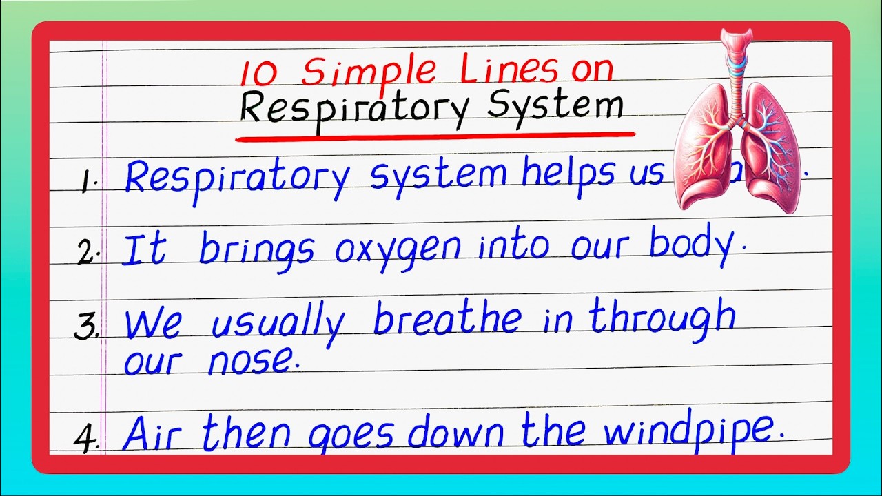 10 Lines on Respiratory System | Simple Lines | Few Lines on Respiratory System | Updated Video