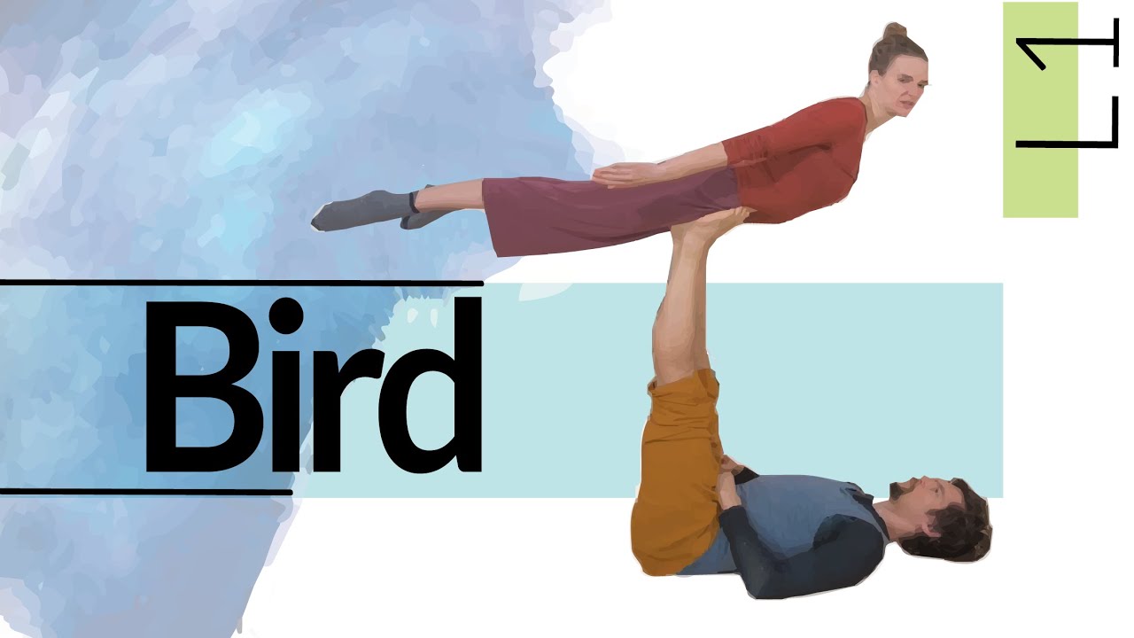Tutorial: Bird - Let's start flying ...