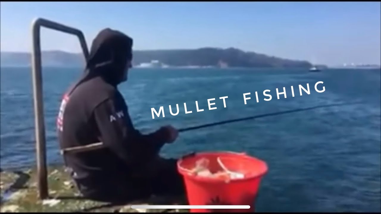 Sea Fishing Videos UK | Targeting Mullet and Conger in the day off Plymouth