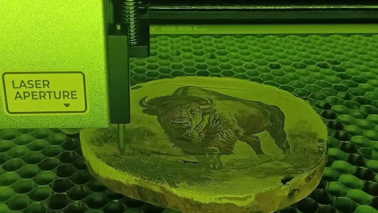 incisione di un bisonte su ceppo di pesco con laser xtool 20 w in 2 passaggi 