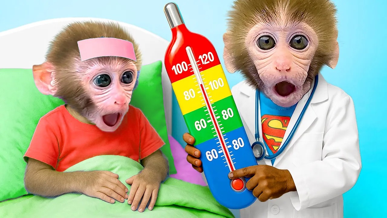 Affe BonBon spielt den Familienarzt und kümmert sich um seinen frechen kleinen Bruder