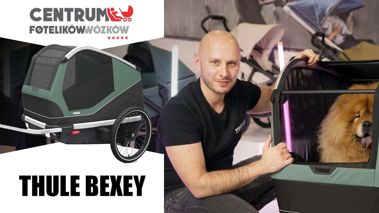 Thule BEXEY - najlepsza przyczepka rowerowa dla ps&oacute;w - CFW #059