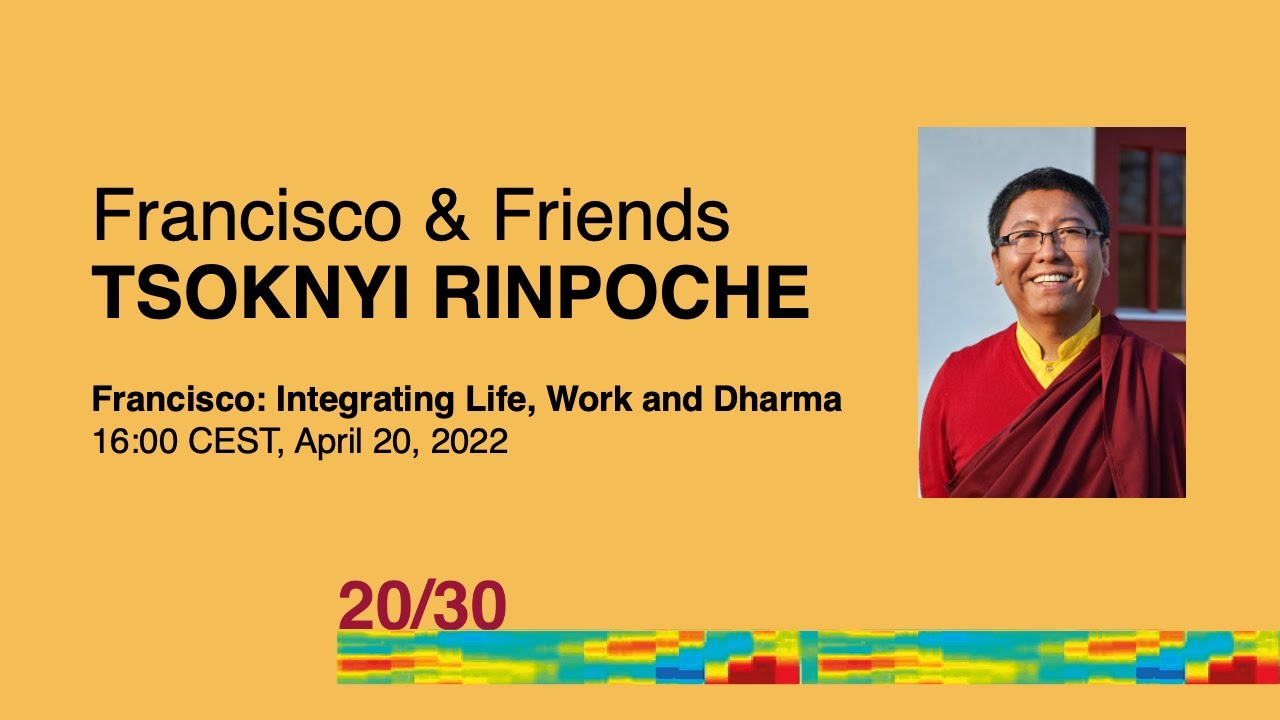Live webinar with Tsoknyi Rinpoche: "Francisco: Integrating Life, Work and Dharma"