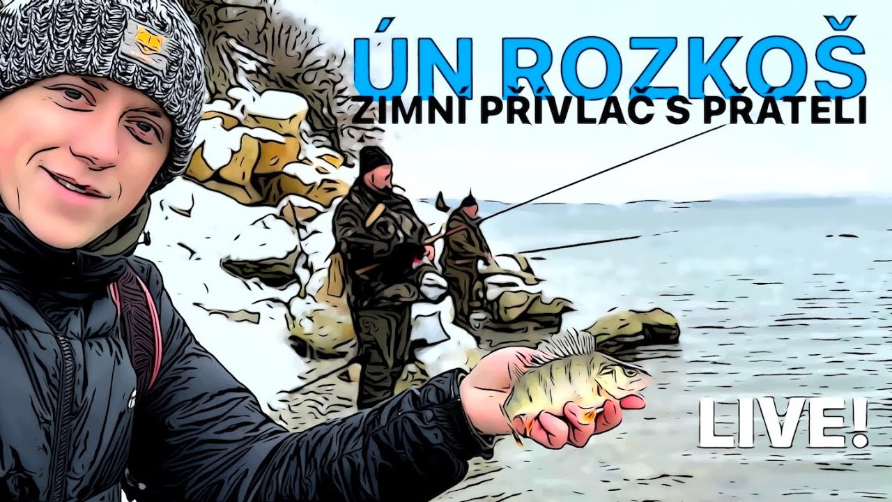 LIVE! ÚN ROZKOŠ A ZIMNÍ PŘÍVLAČ S PŘÁTELI - PRŮZKUM A JDEME ZKUSIT CANDÁTA, OKOUNA - SHIMANO KVARTET