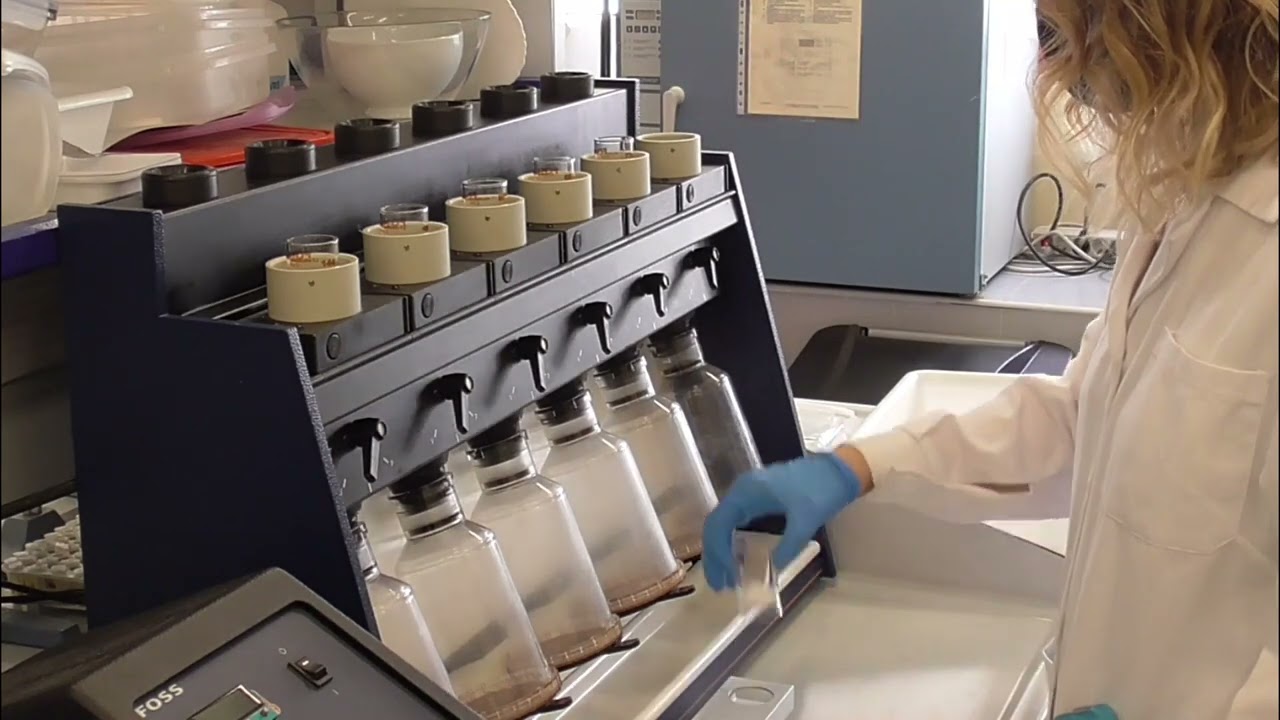 Determinaci&oacute;n de fibra total diet&eacute;tica en alimentos |  | UPV