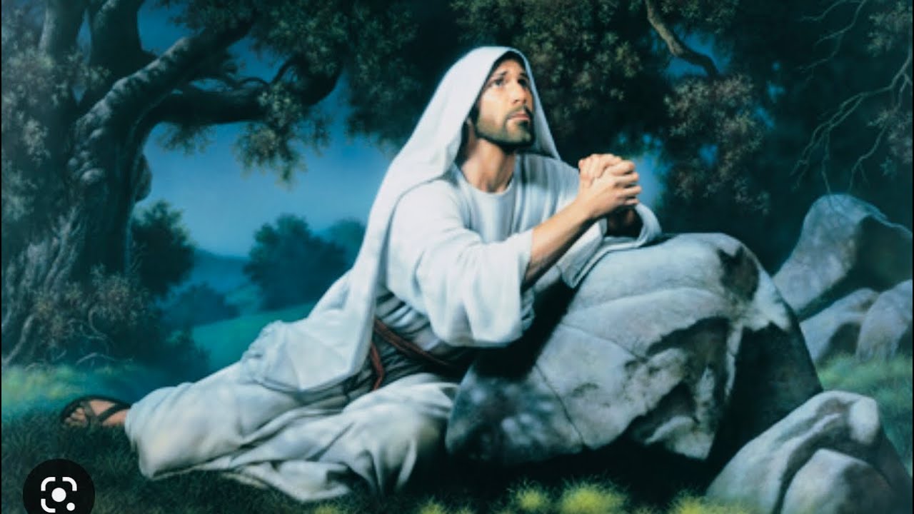 Manex din Bacesti - Era odata o tainica gradina