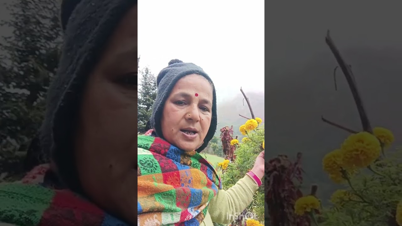 बुआ जी का घर और मैं लकड़ी काटने जा रही हूं 